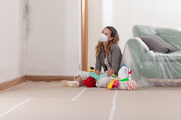 Reliable Mold Cleanup contractor in Norristown, PA by Cheap Mold Removal